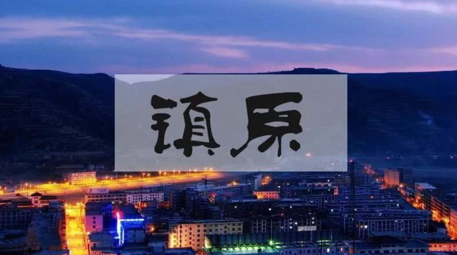 雨轻能润物 枝叶总关情-我会积极开展结对镇原县帮扶工作