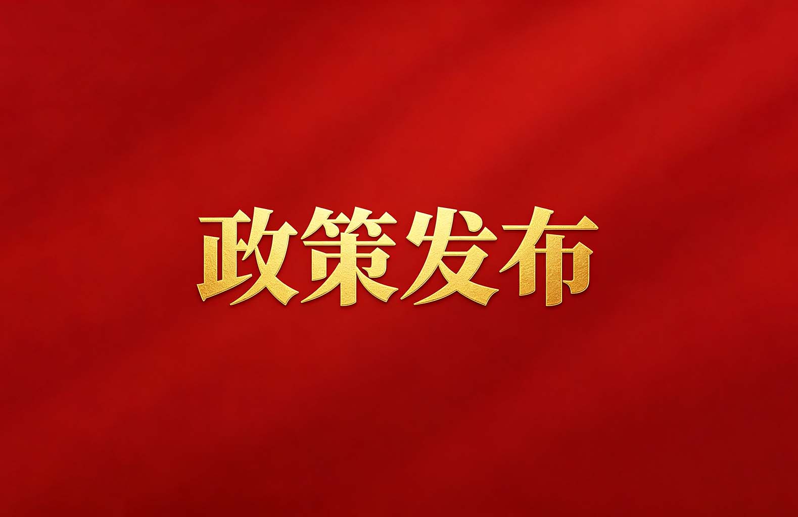 政策发布