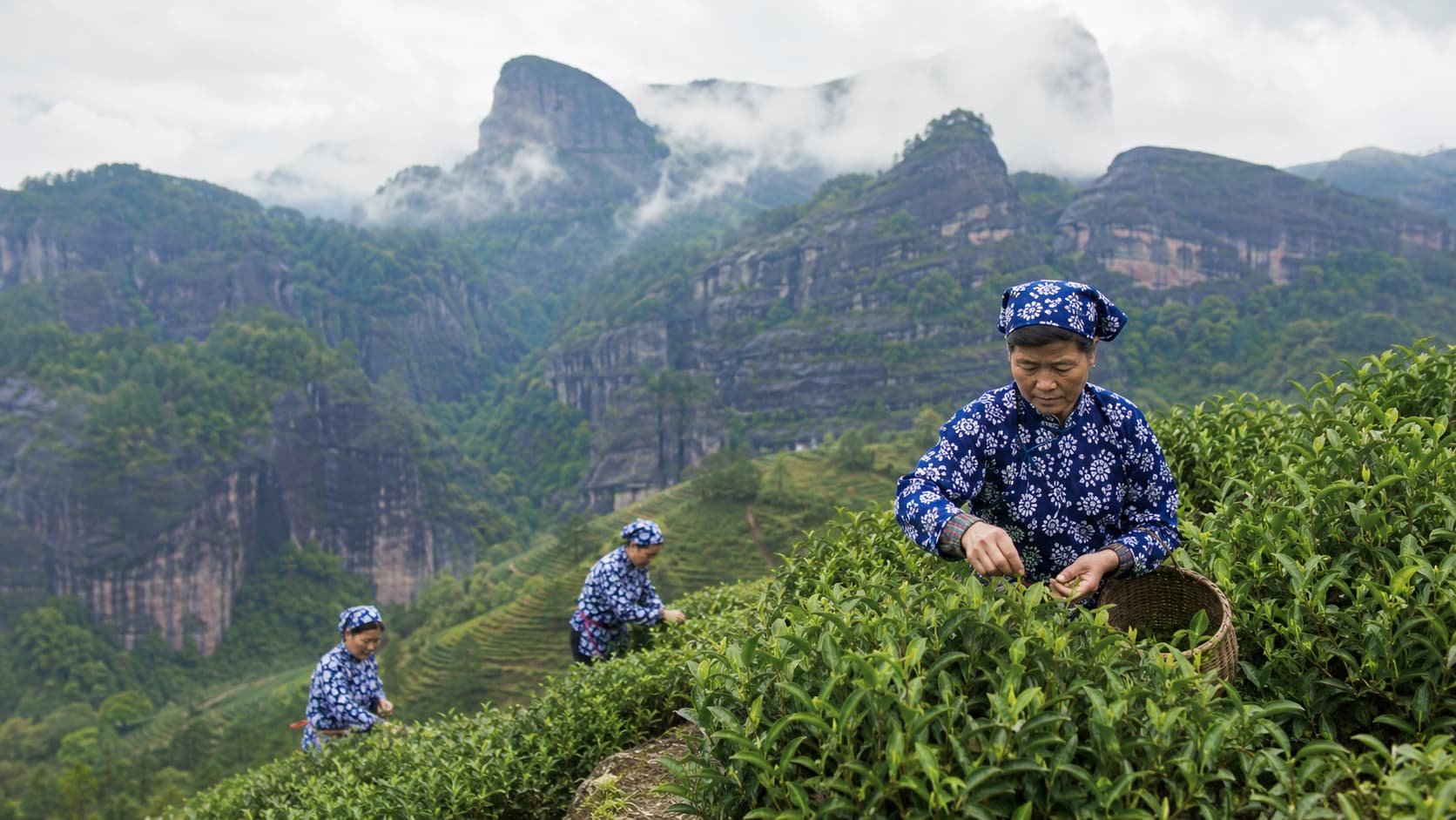 碧水丹山冠东南:武夷之名与朱子理学的山河注脚