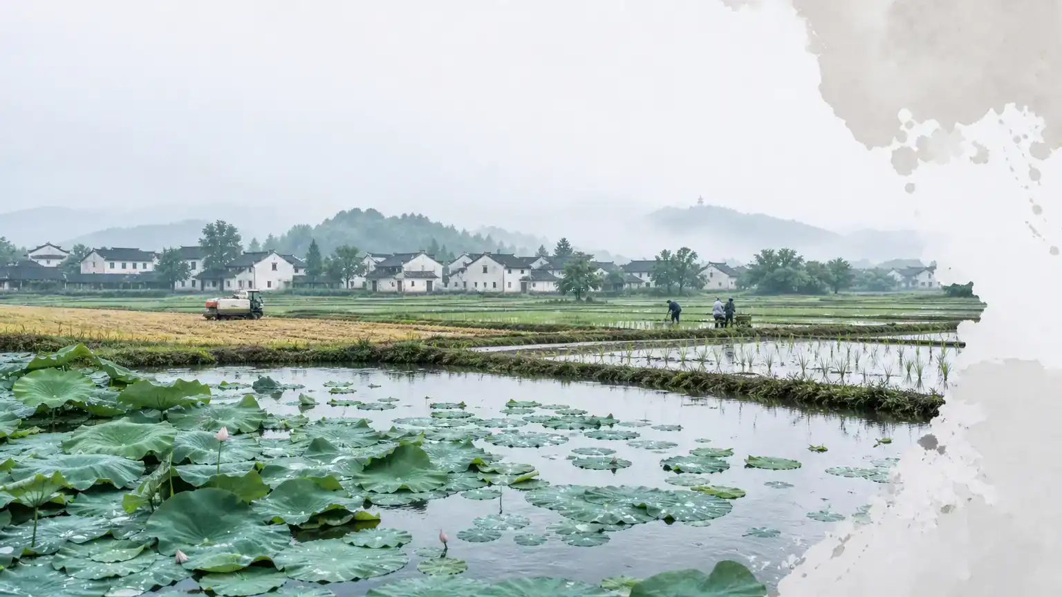 芒种将临时——中国画里的仲夏田园诗意