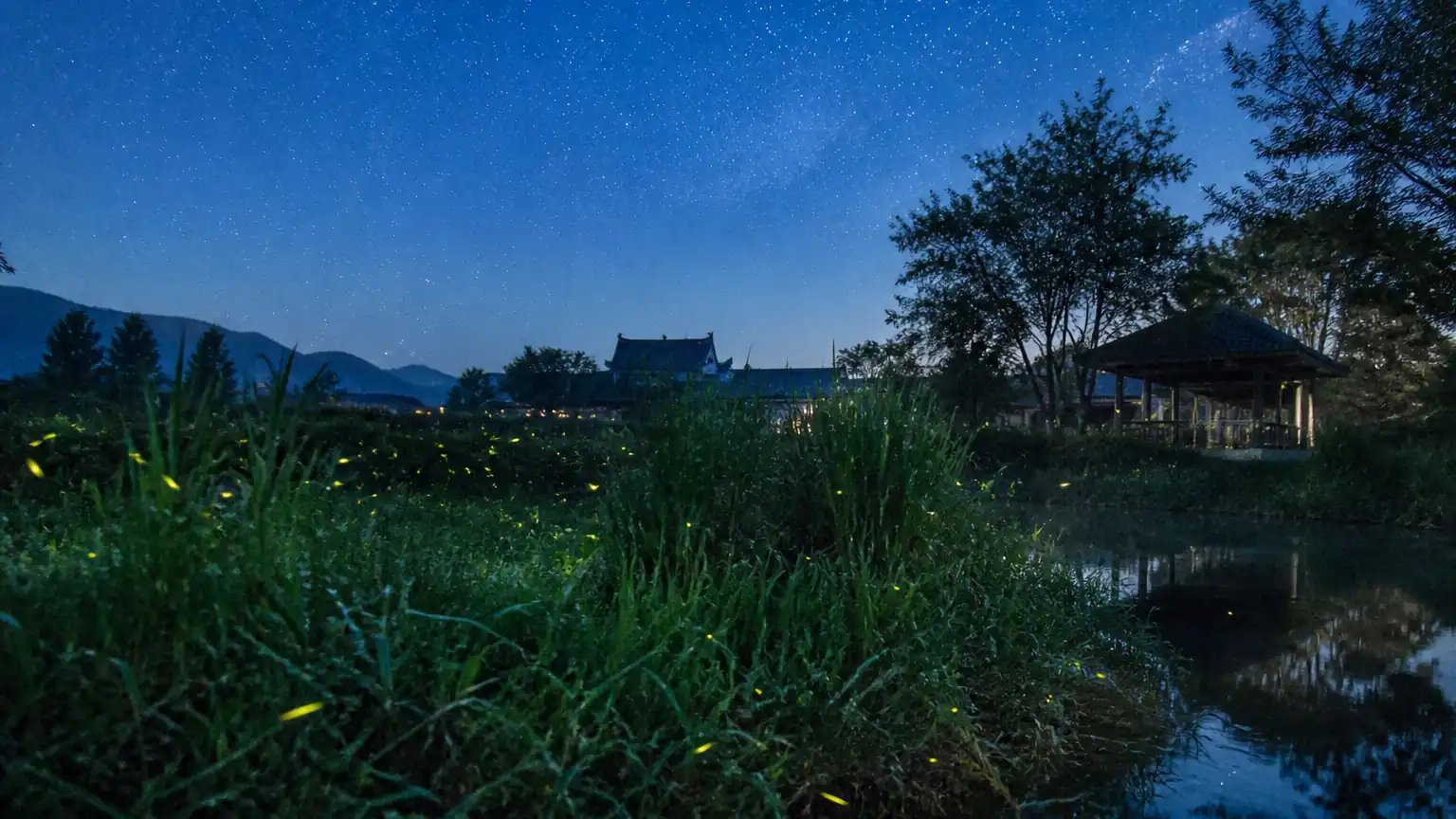 夏夜纳凉与萤火虫的流萤之趣