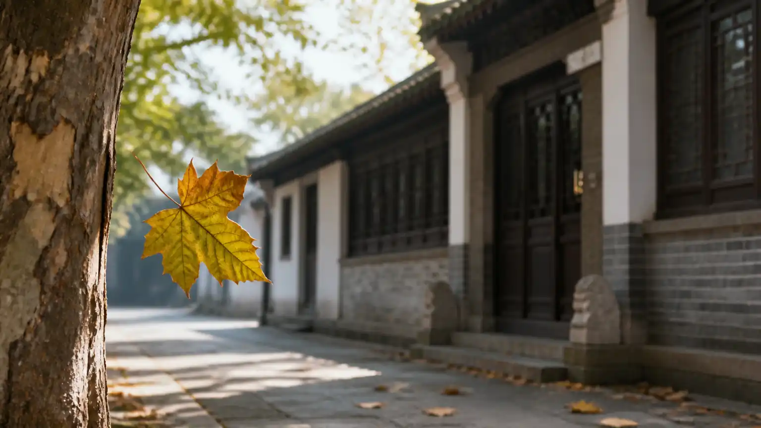 立秋:凉风至与梧桐报秋