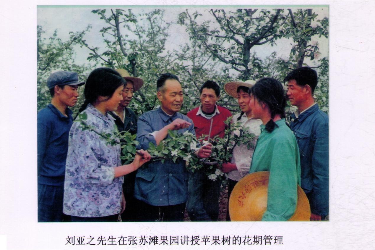 绿云书庵:一座院落,两代人的接力