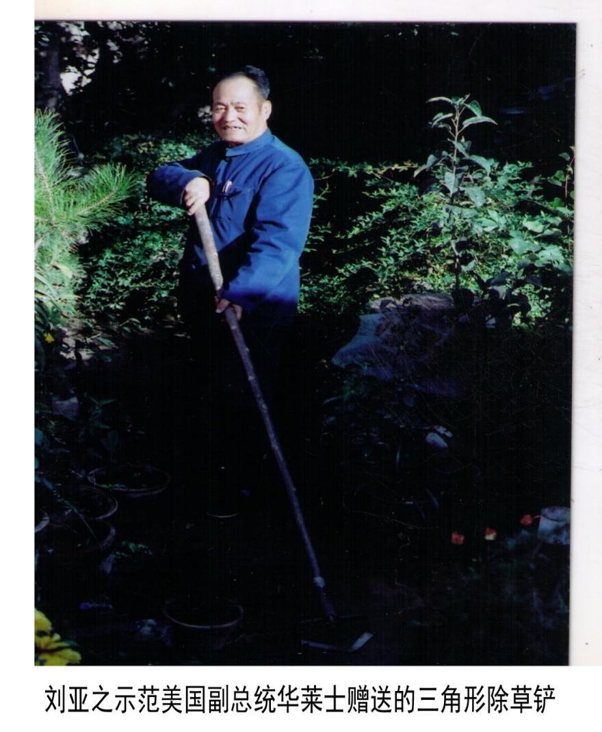 绿云书庵:一座院落,两代人的接力