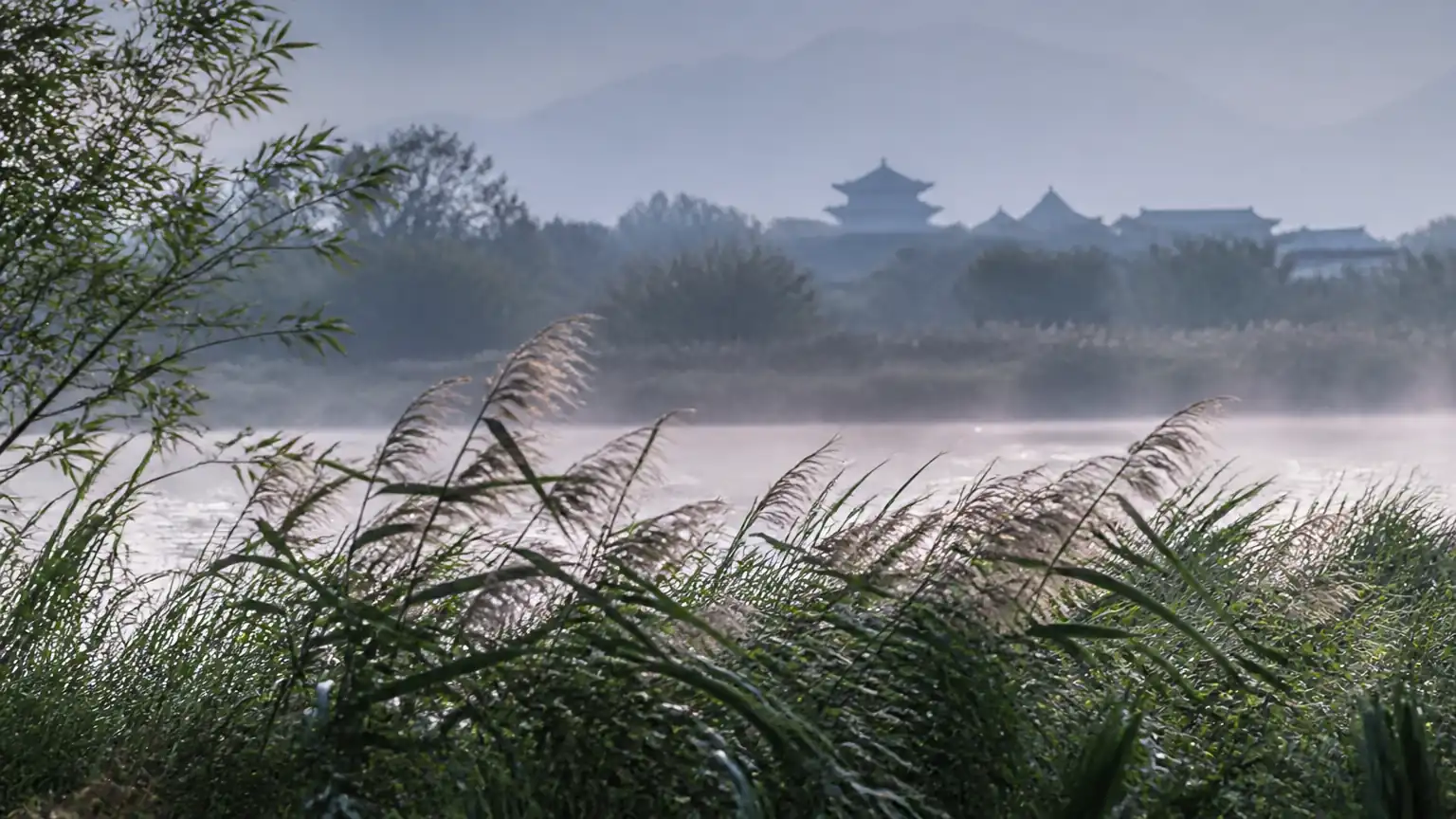 风中草木铺陈图