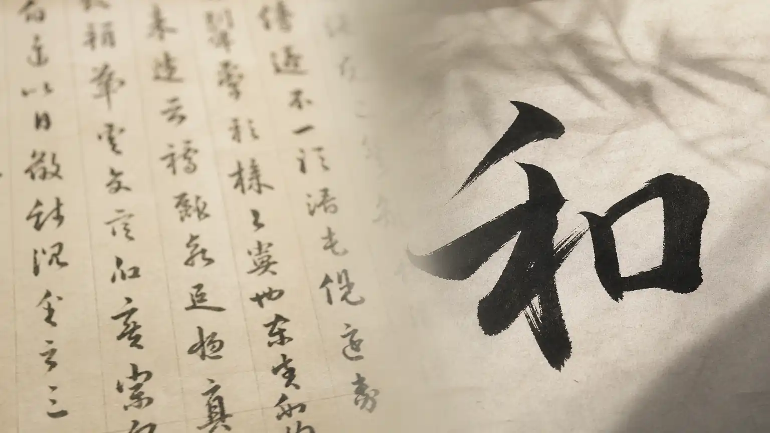整体与局部对照观察图