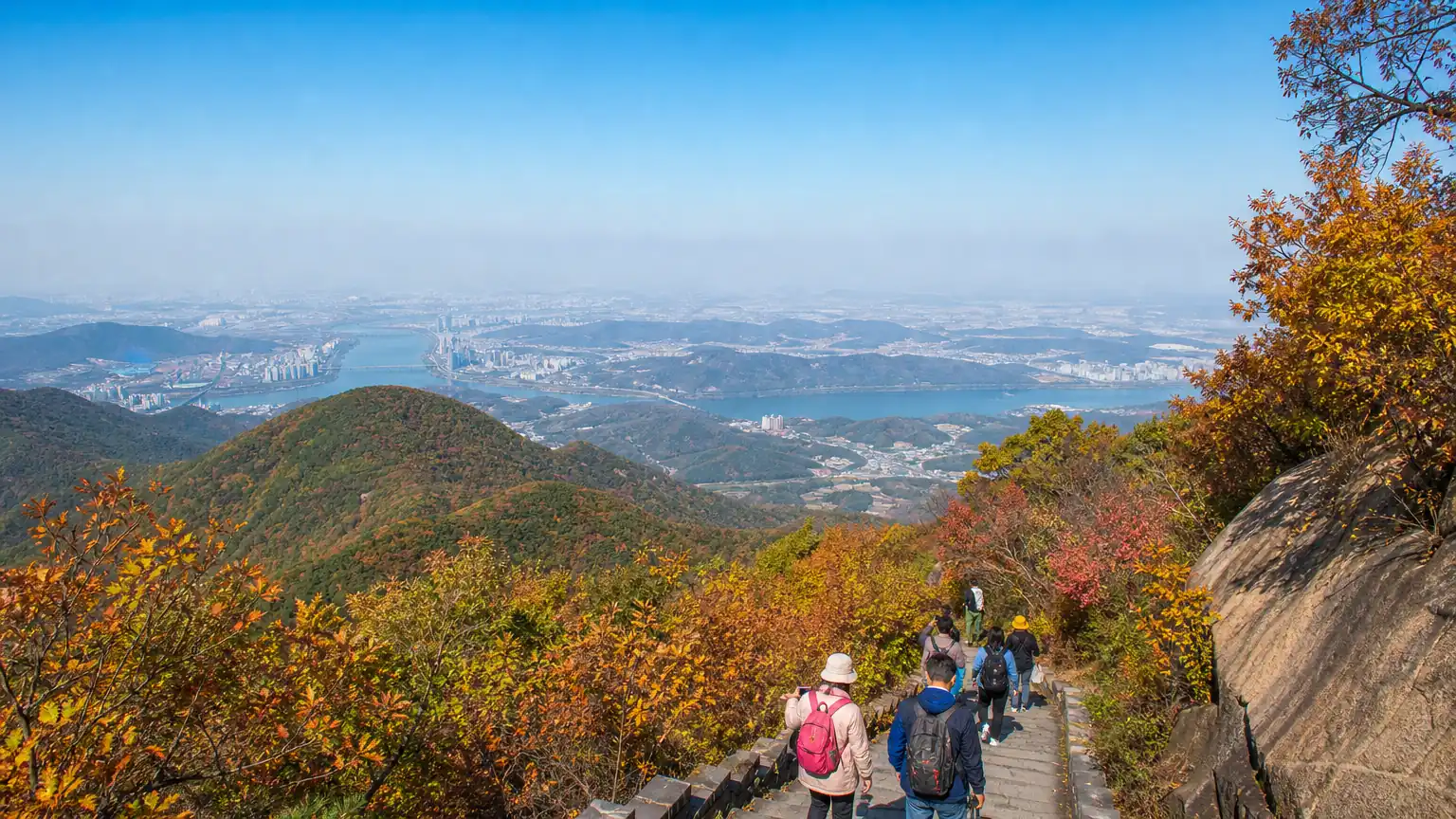 重阳登高望远场景图