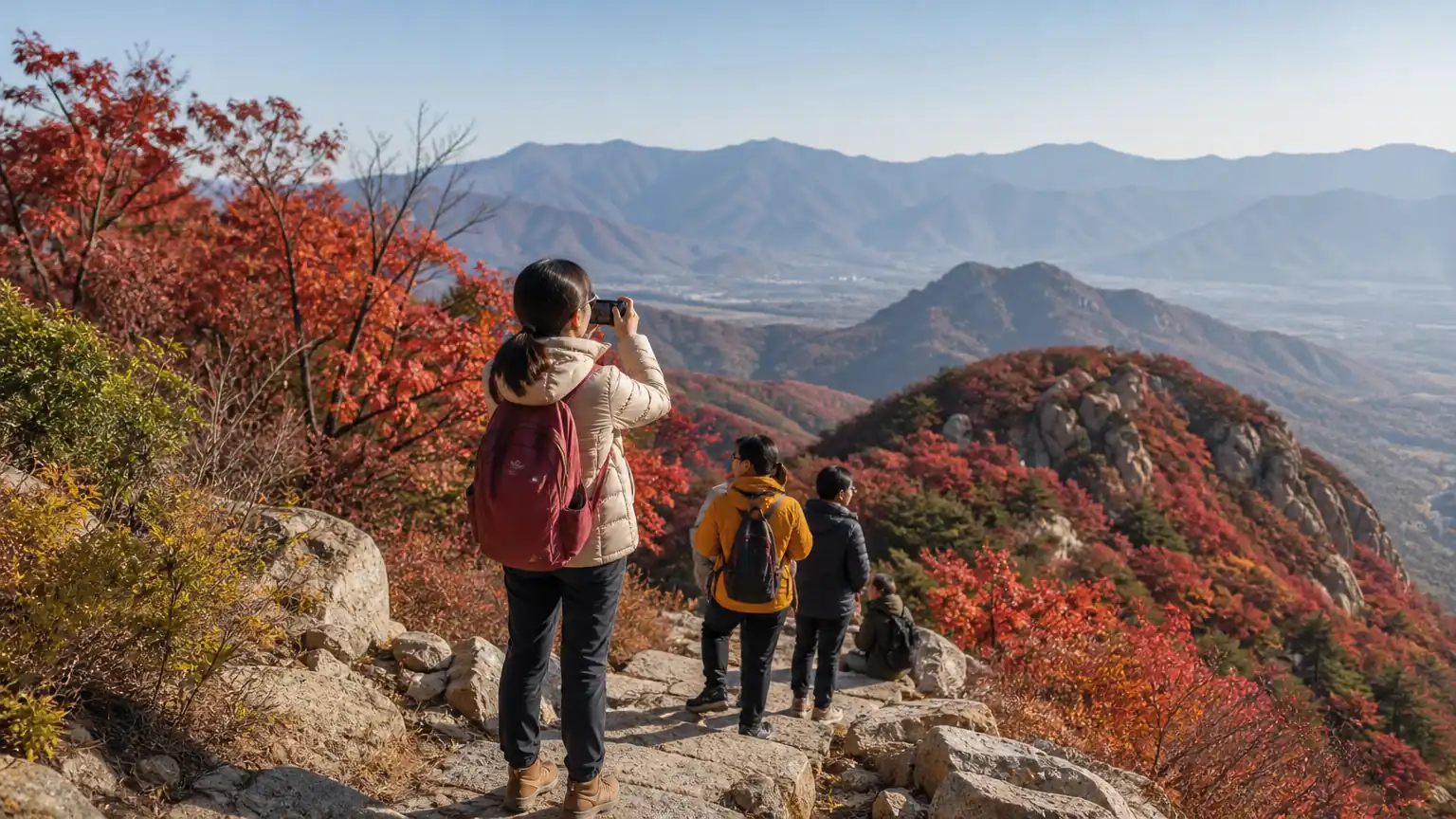 霜降登高赏红叶图