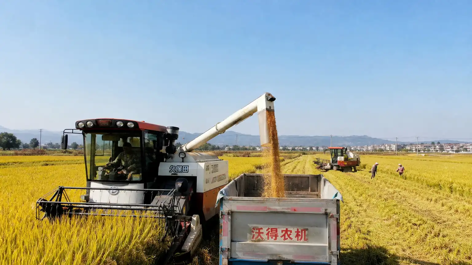 金秋稻田机械化收割图