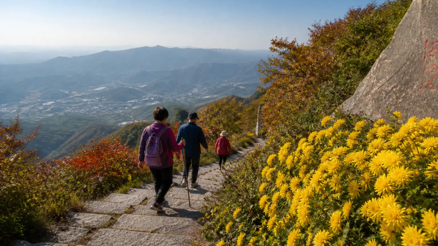 重阳登高赏菊秋景图
